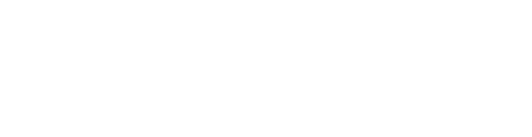 Flexon